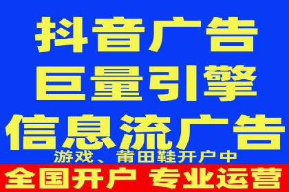 某电商平台的SEM策略与效果展示